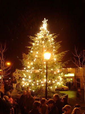 The lit Tree and plaza